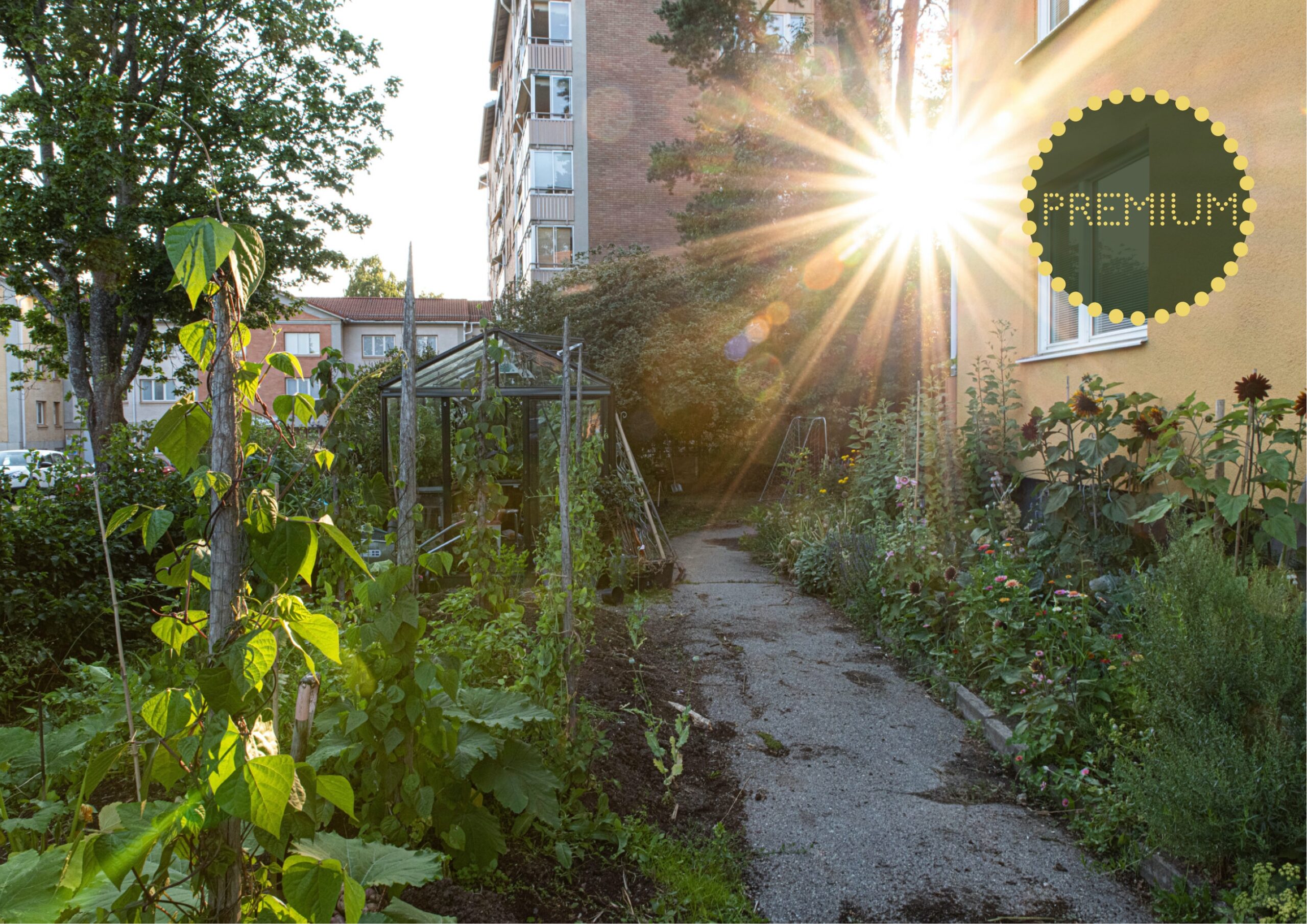 Ljusets inverkan på odlande inomhus och utomhus