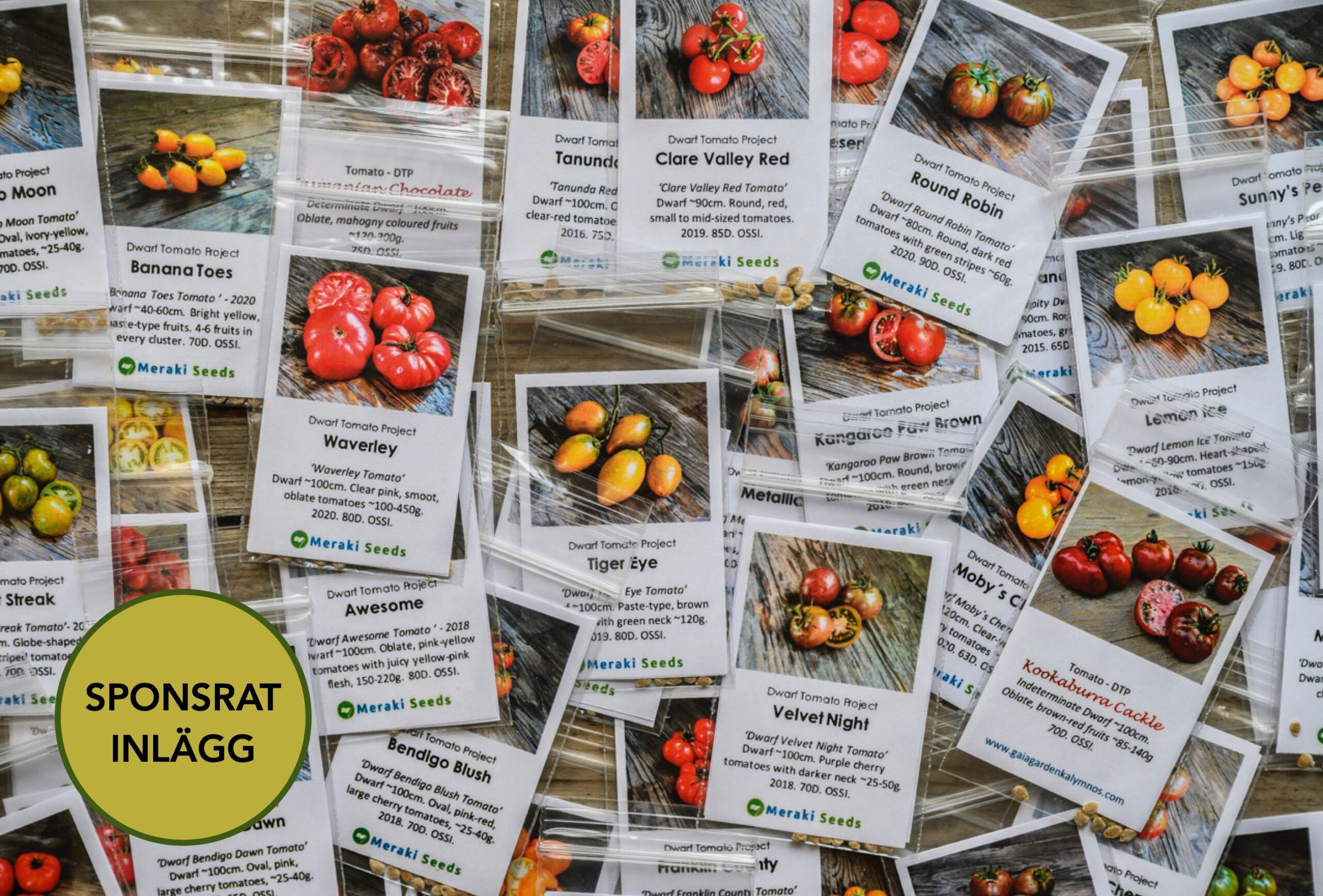 I år odlar jag bara Dwarftomater!