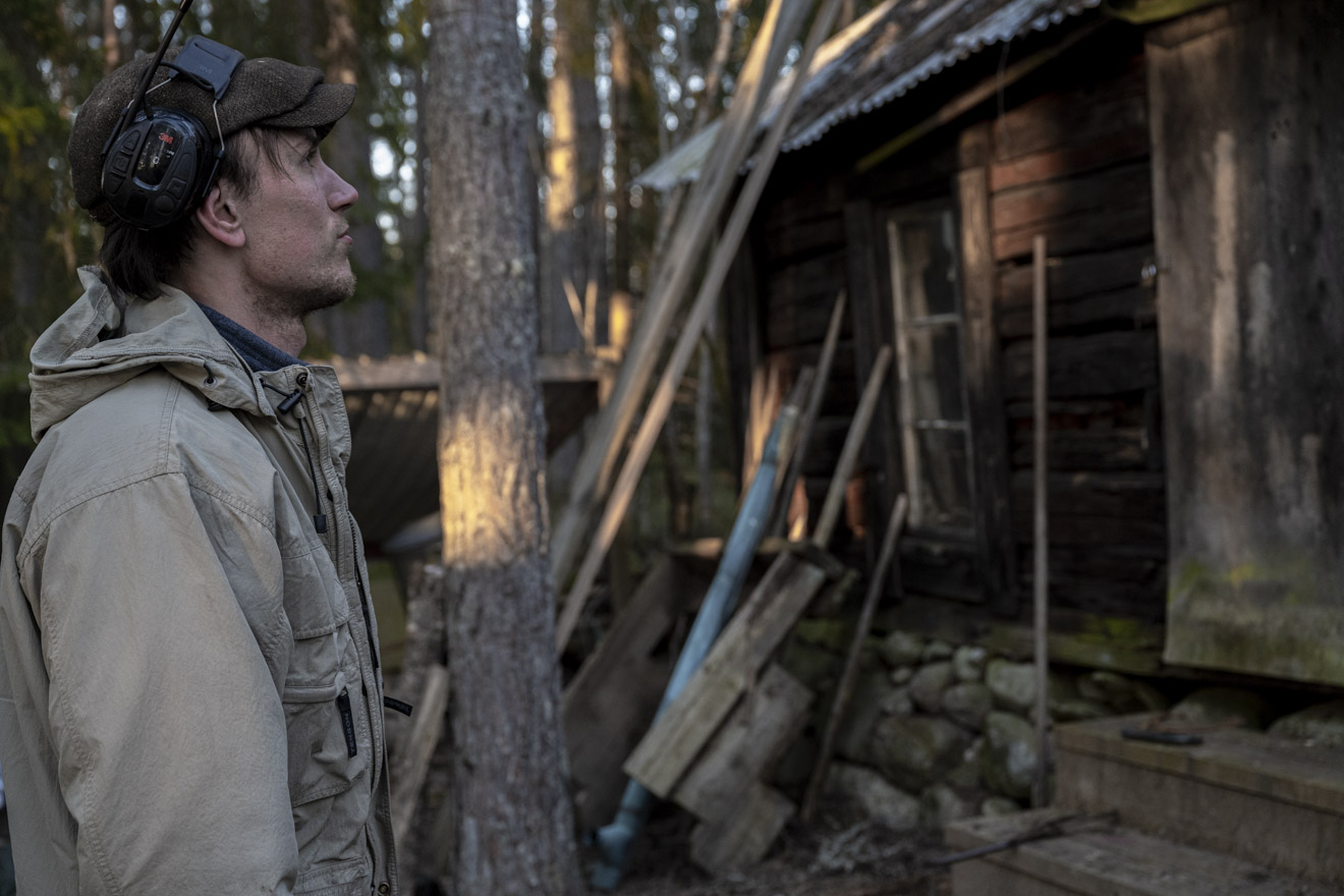 Vi renoverar en timmerstuga – virkesberedning