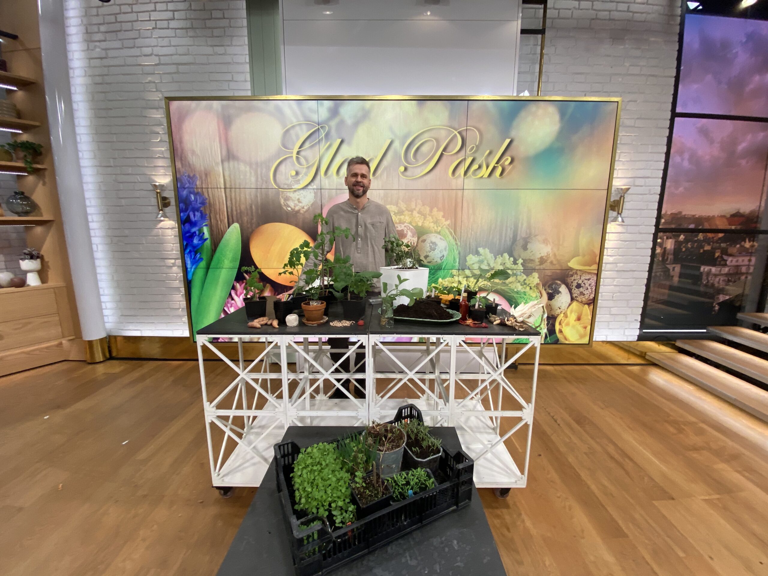 Johannes Wätterbäck i TV4 Nyhetsmorgon