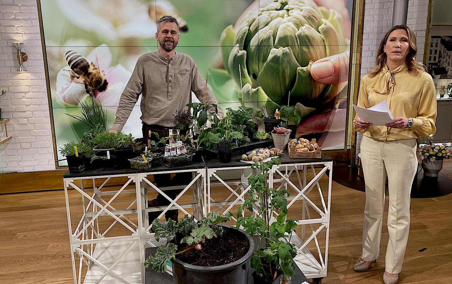 Nyhetsmorgon 24 april- se odlingsklippen igen!