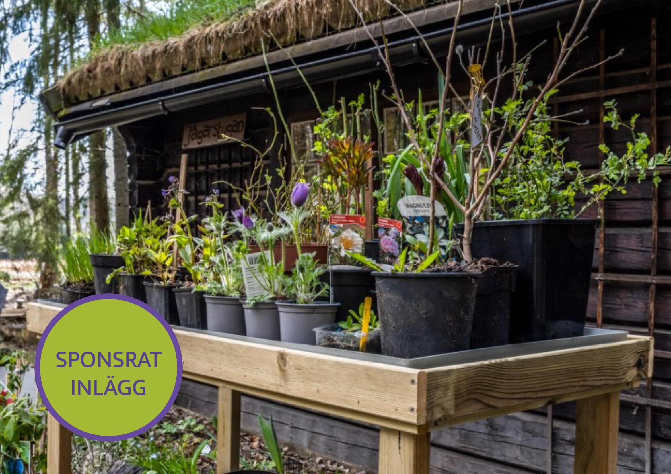 Vi testar ett odlingsbord