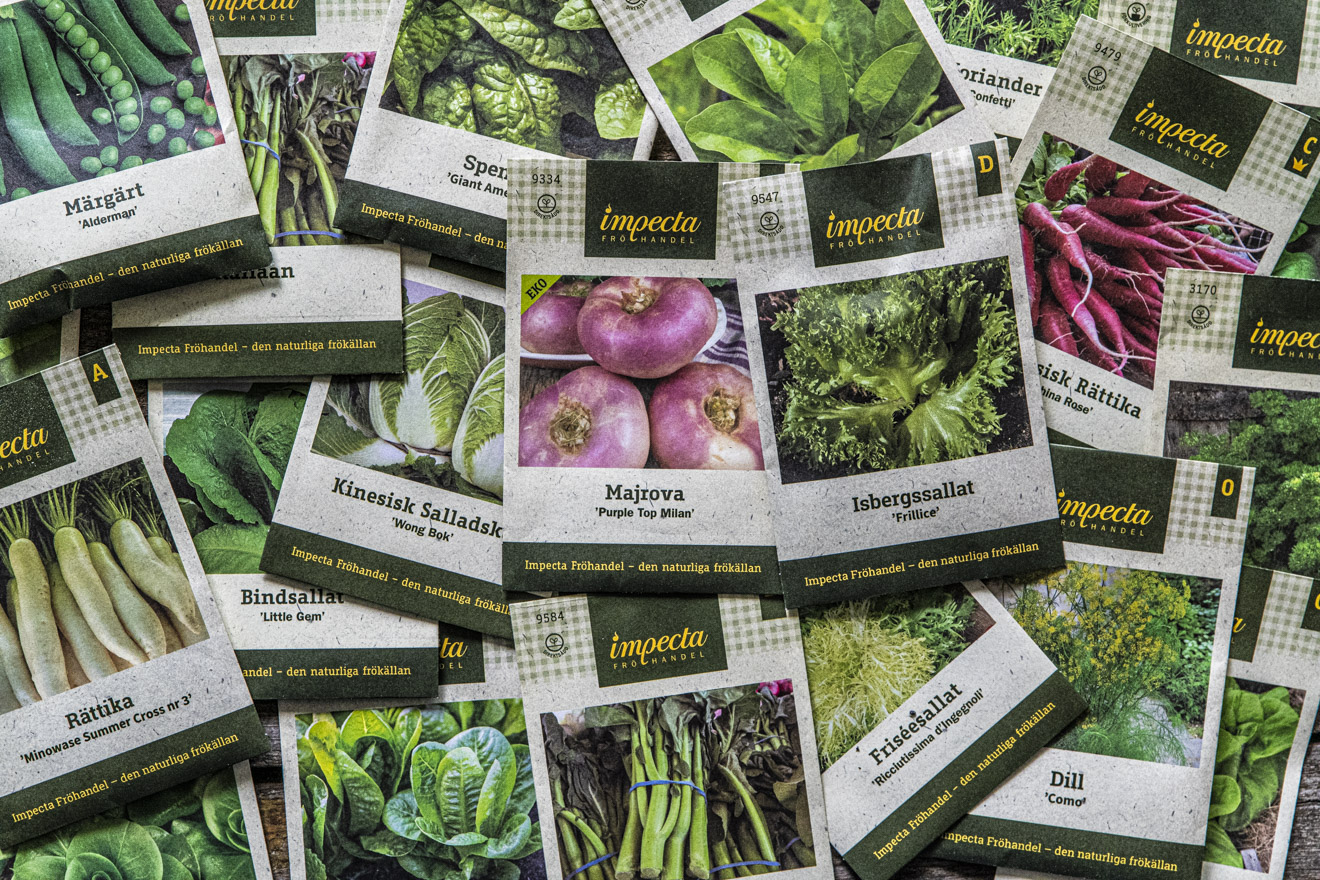 Odlingssäsong sommar och frörea