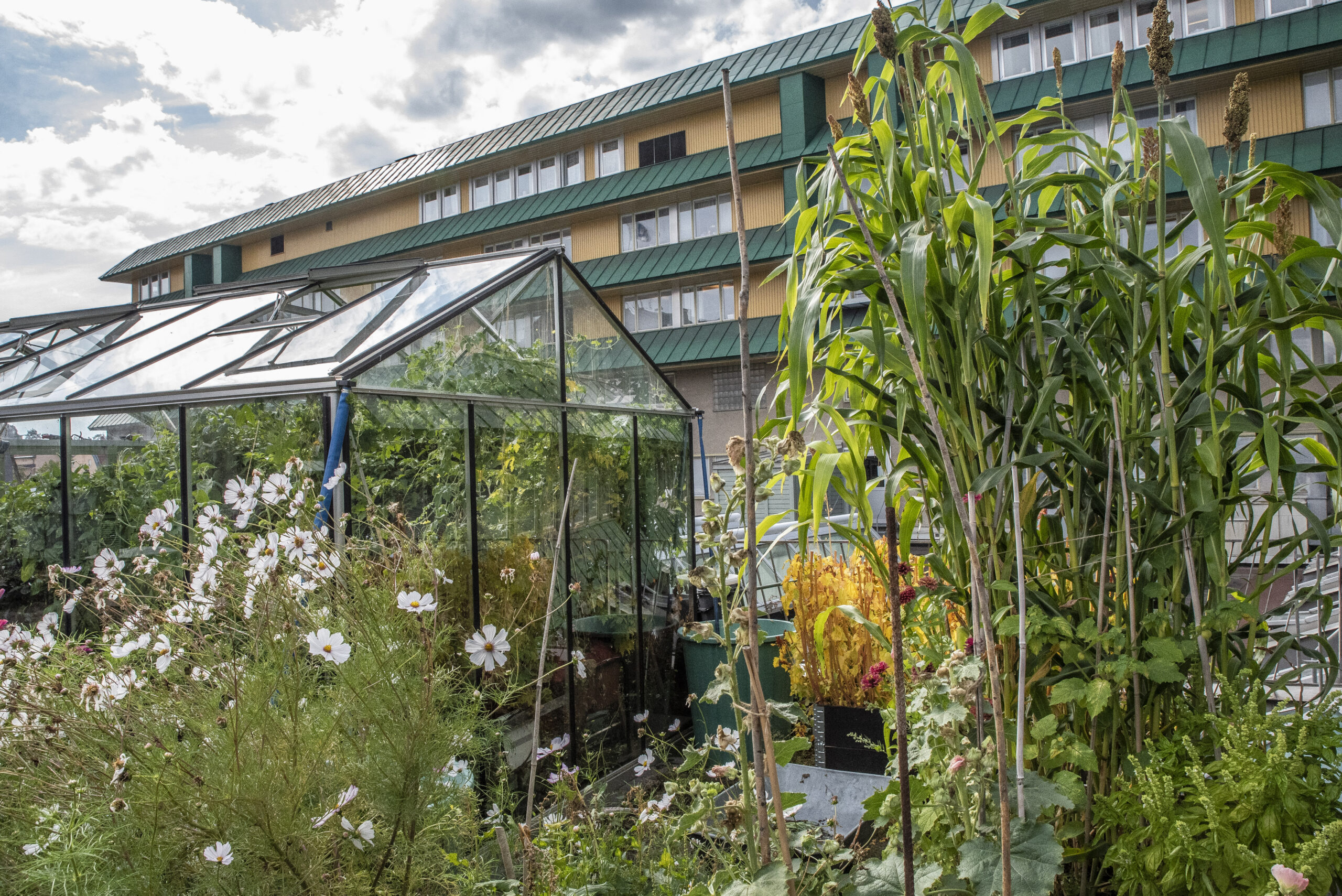 Vårens odlingskurser – Sundsvall och Västerås