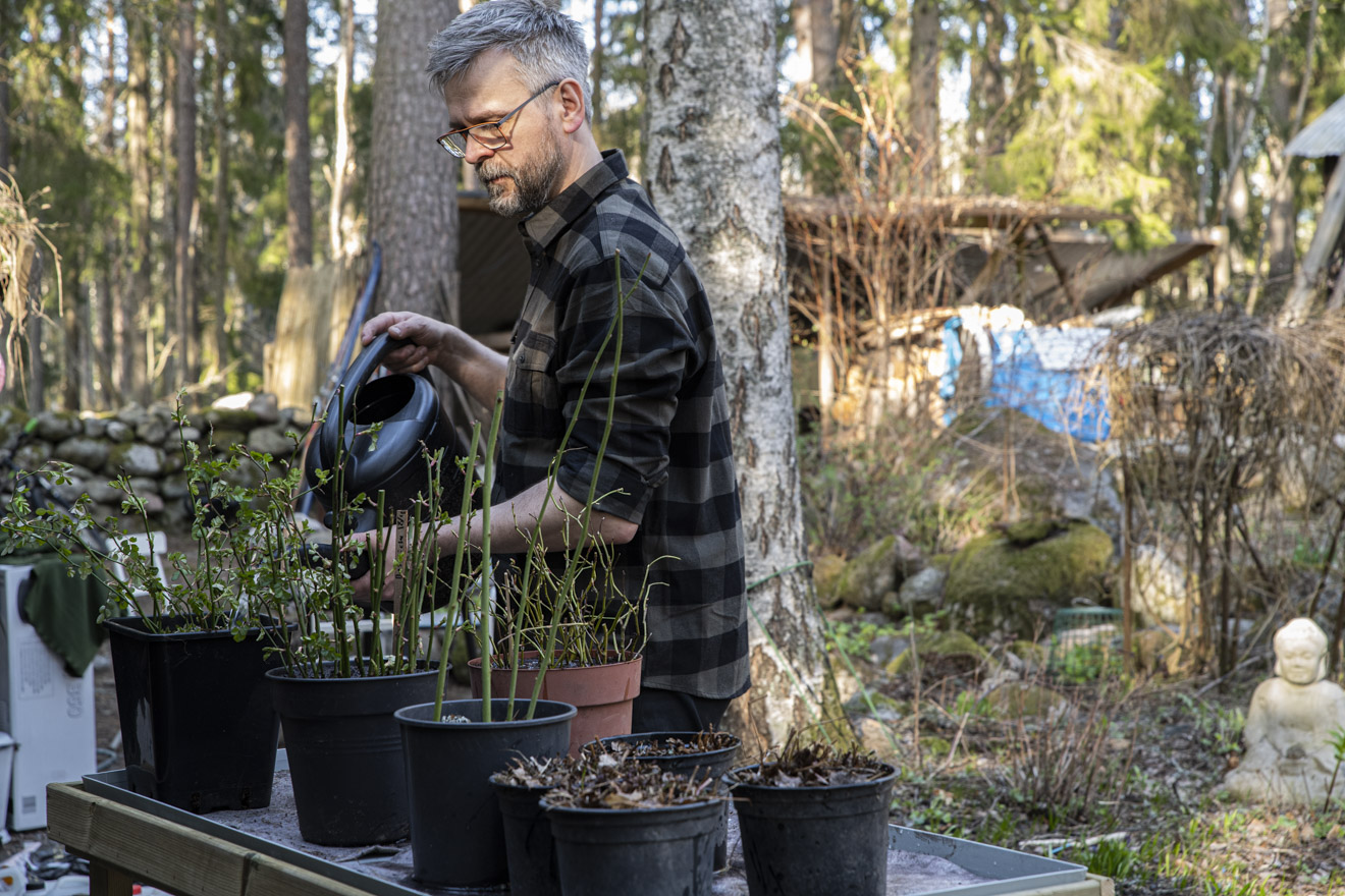 Farbror Gröns bästa vårtips