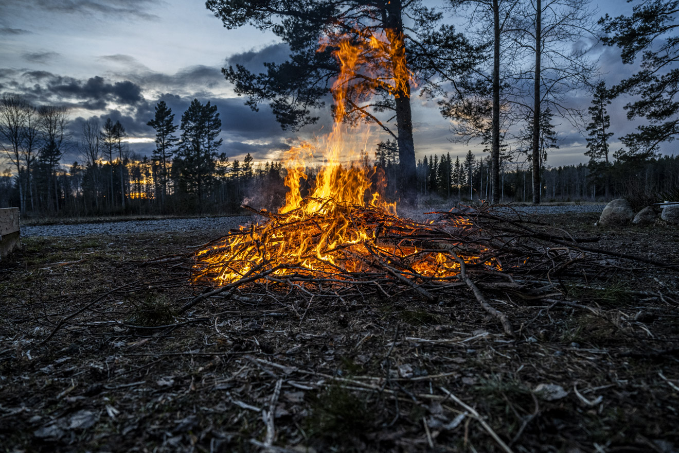 Göra eget biokol och grädda pizza samtidigt!