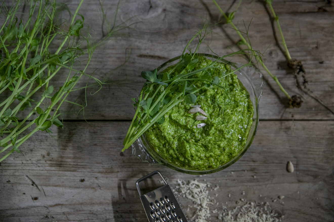 Gör en ärtskottspesto av dina ärtskott