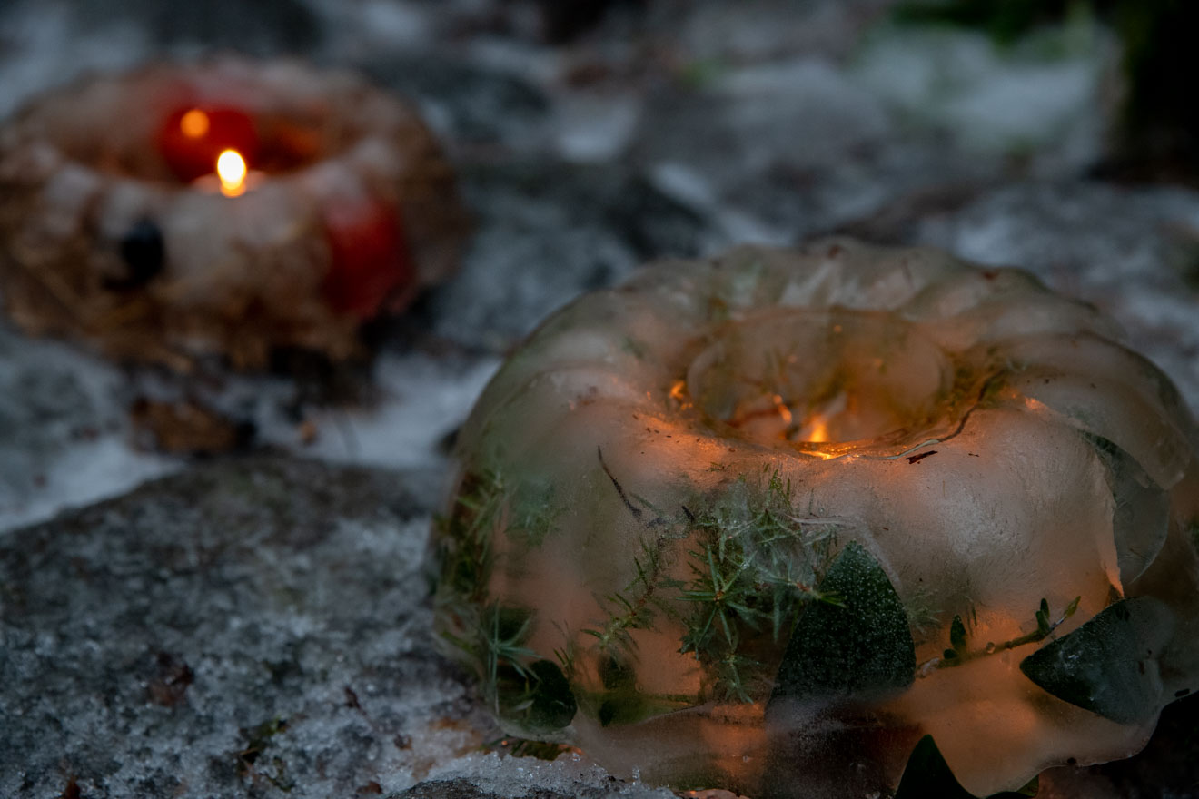 Johannes islyktor med växter från trädgården