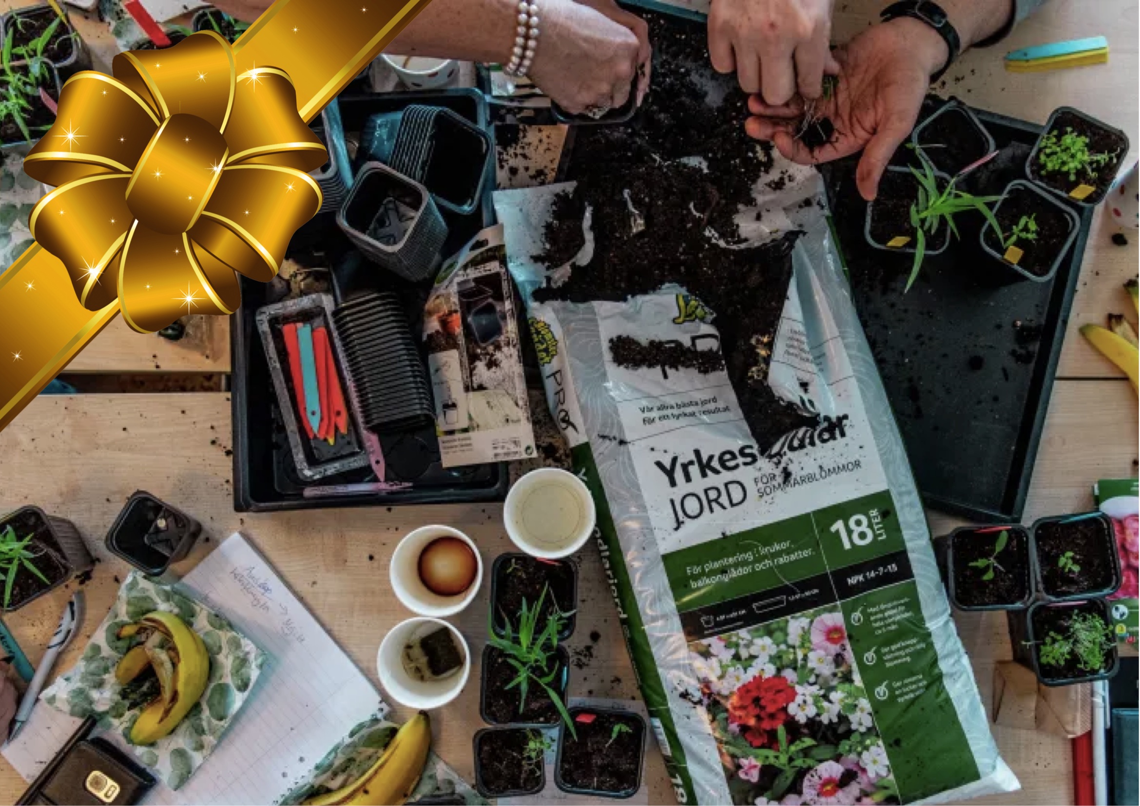 Julklappstips – endagskurser och helgkurser i odling