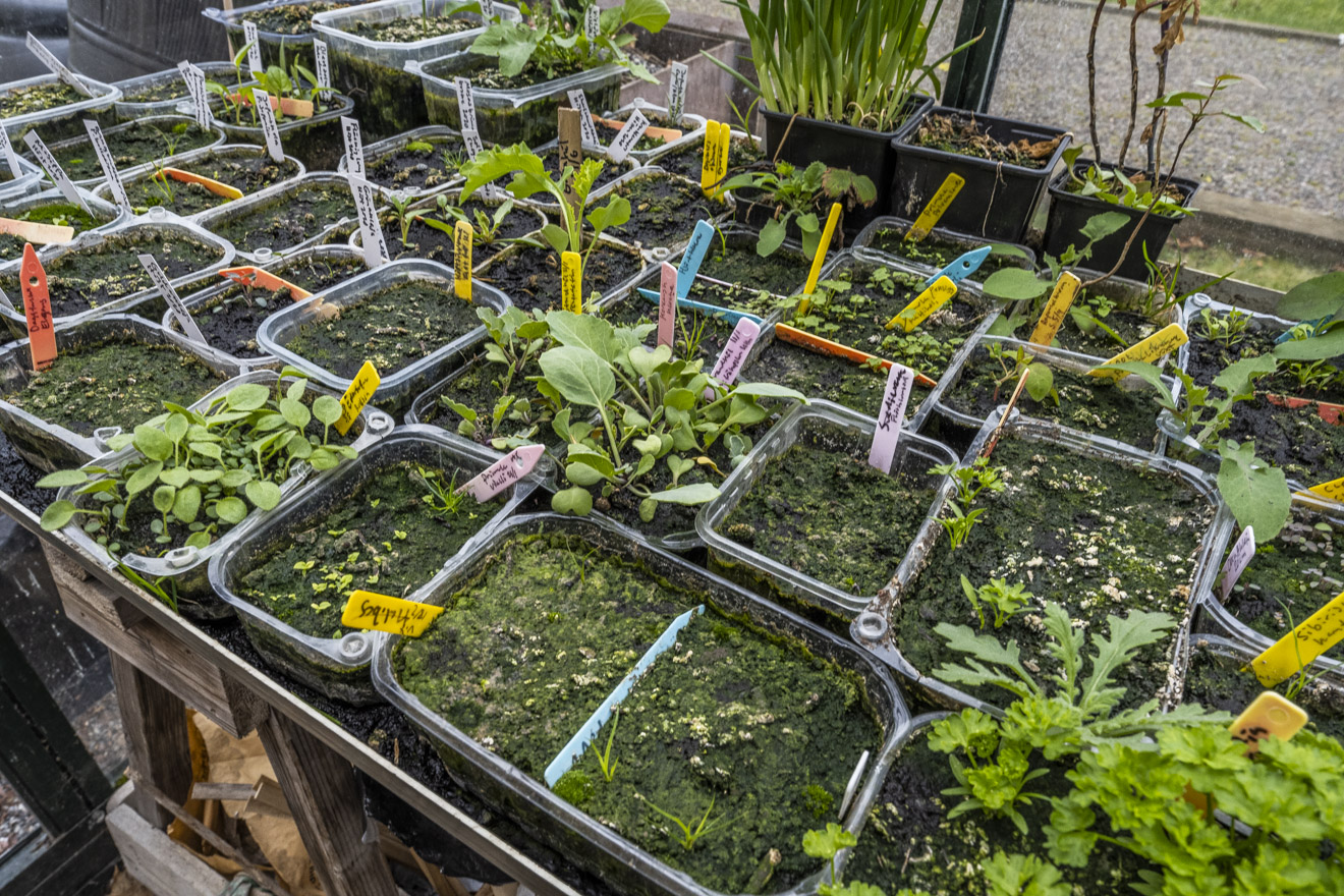 Välkommen in i vintersåddernas rike