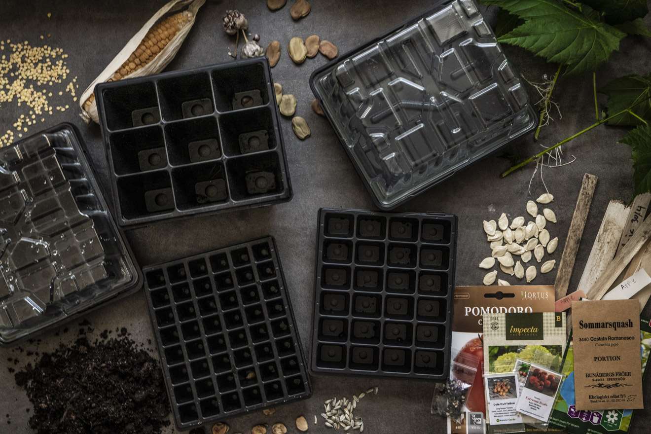 Multipluggbrätte – perfekt för förkultivering