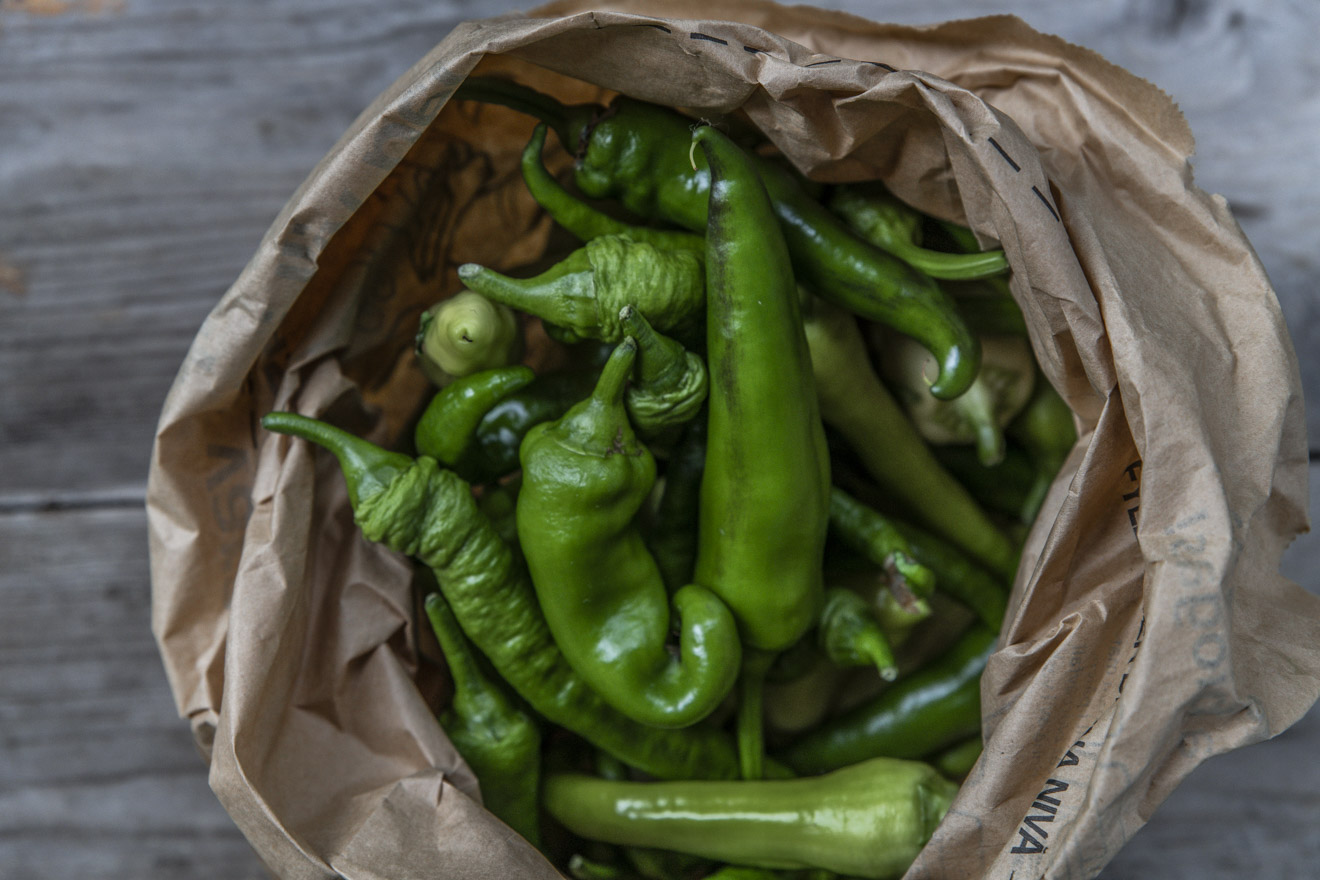 Skörda paprikor gröna – njut av flera skördar