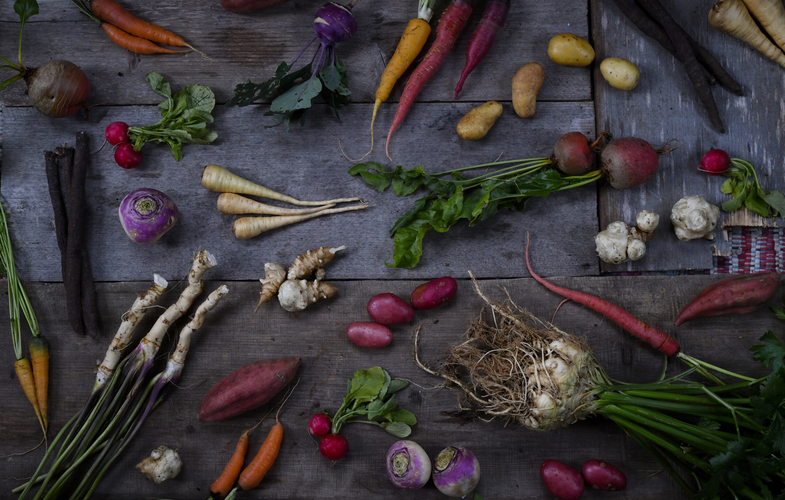 10 enkla rotfrukter att odla själv