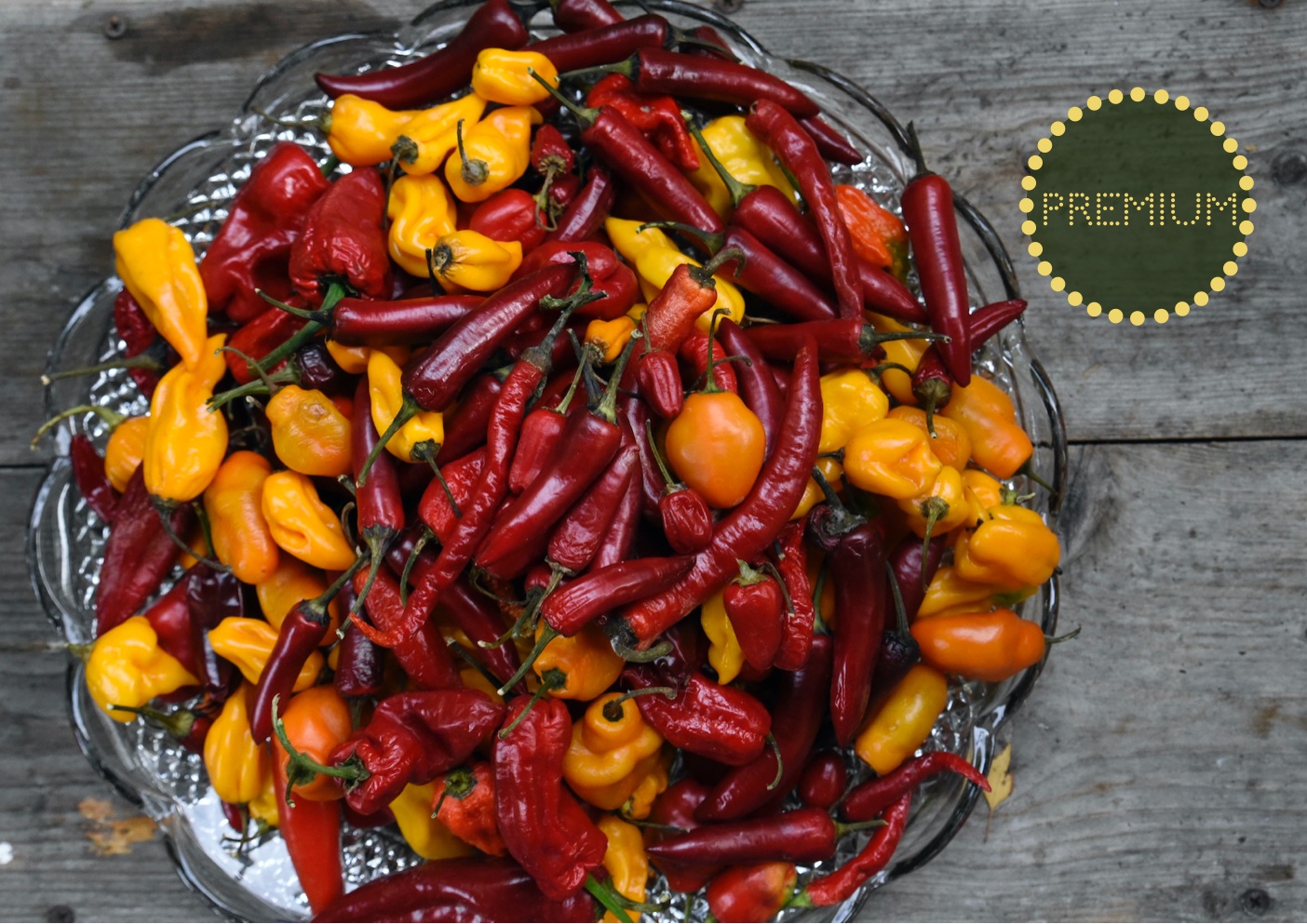 Vilka chili-sorter ska man välja?