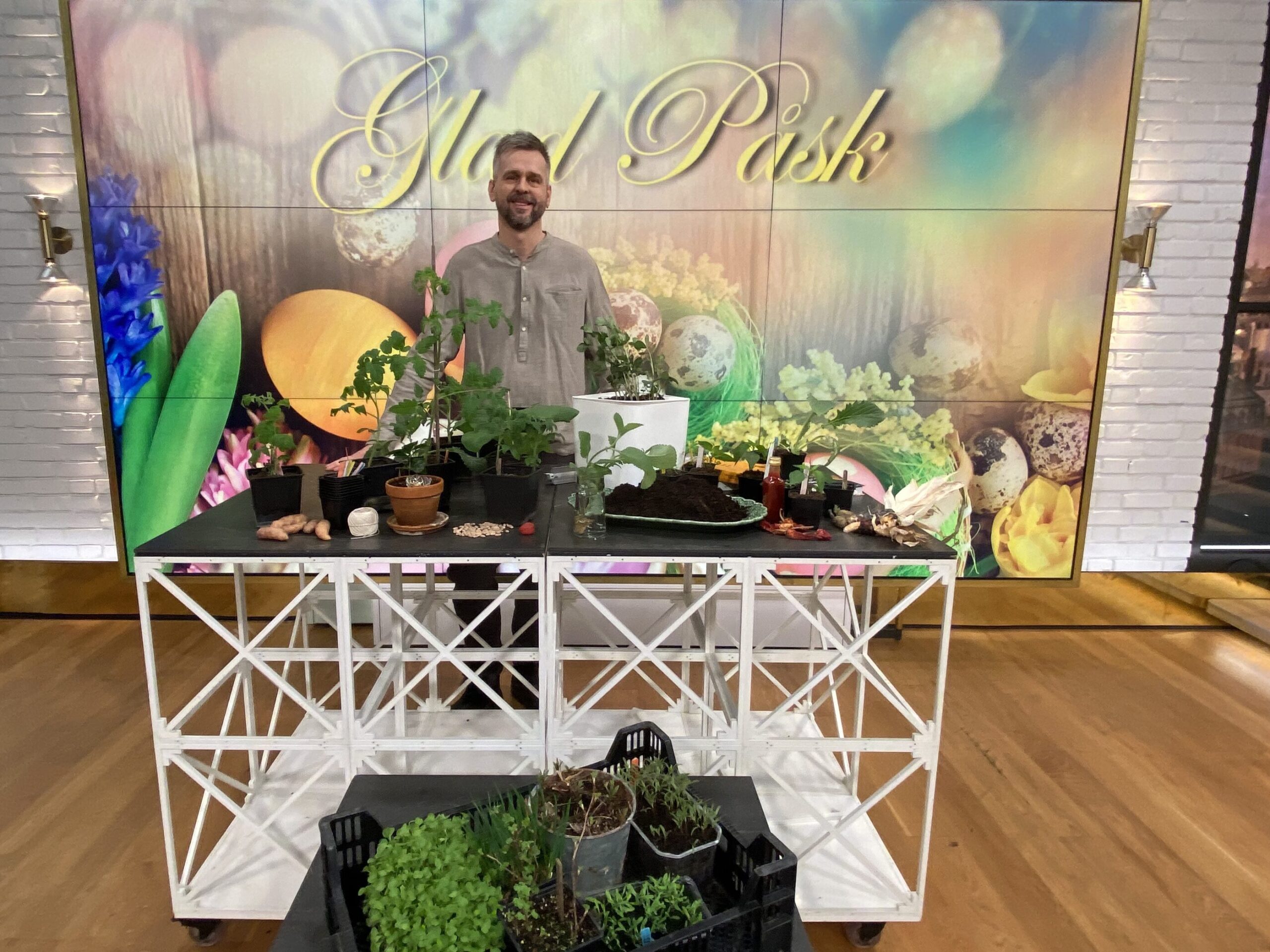 Påskafton i Nyhetsmorgon i TV4