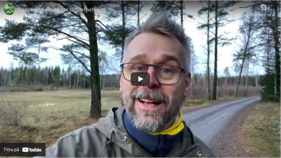 Så spenat kallt mellan januari och april