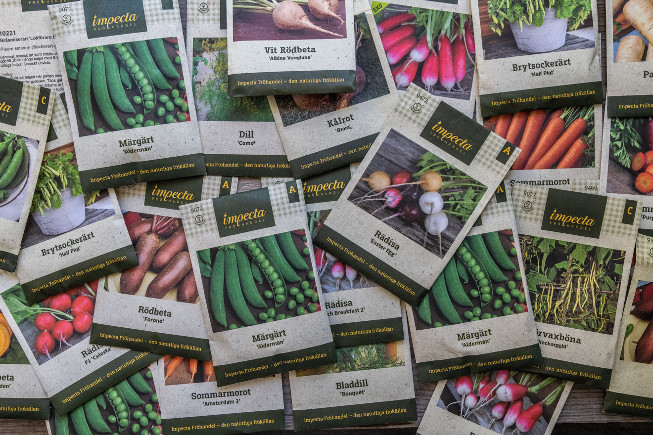 Grönsaker för direktsådd – erbjudande och några stalltips