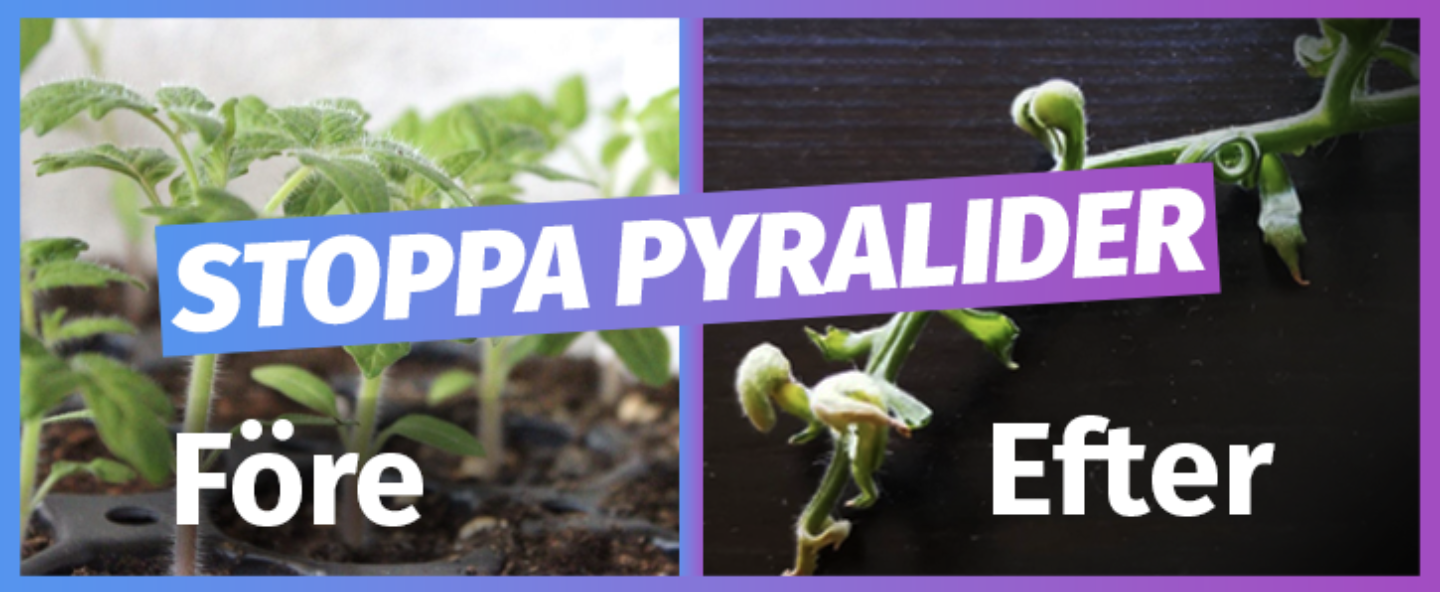 Stoppa gifterna ”pyralider” som kan finnas i gödsel och jord?