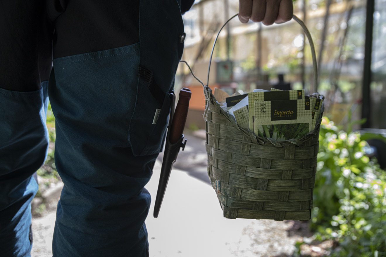 Dags för serieodling – fyll på med fler frön!