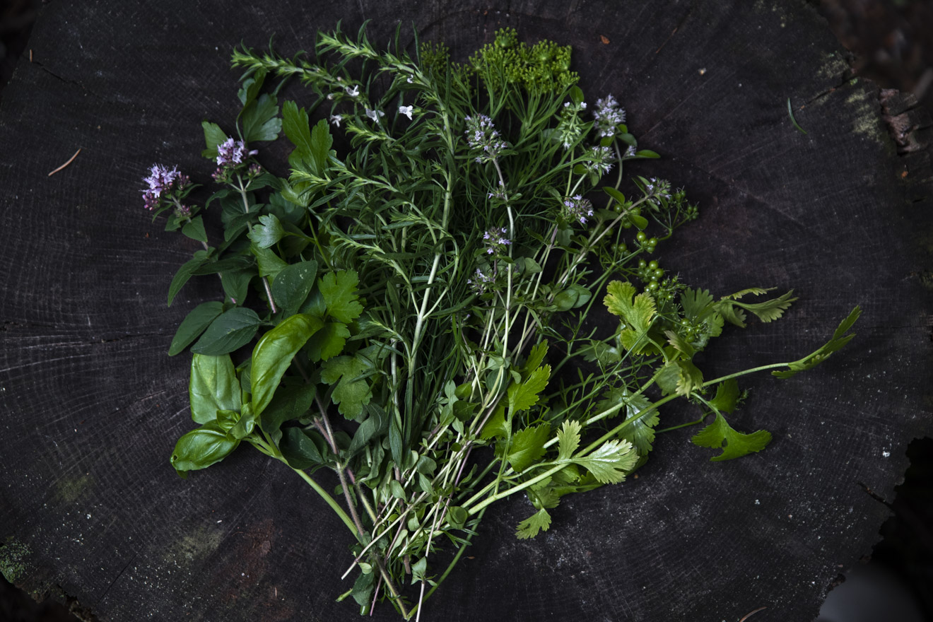 6 fleråriga örter vi odlar och varför