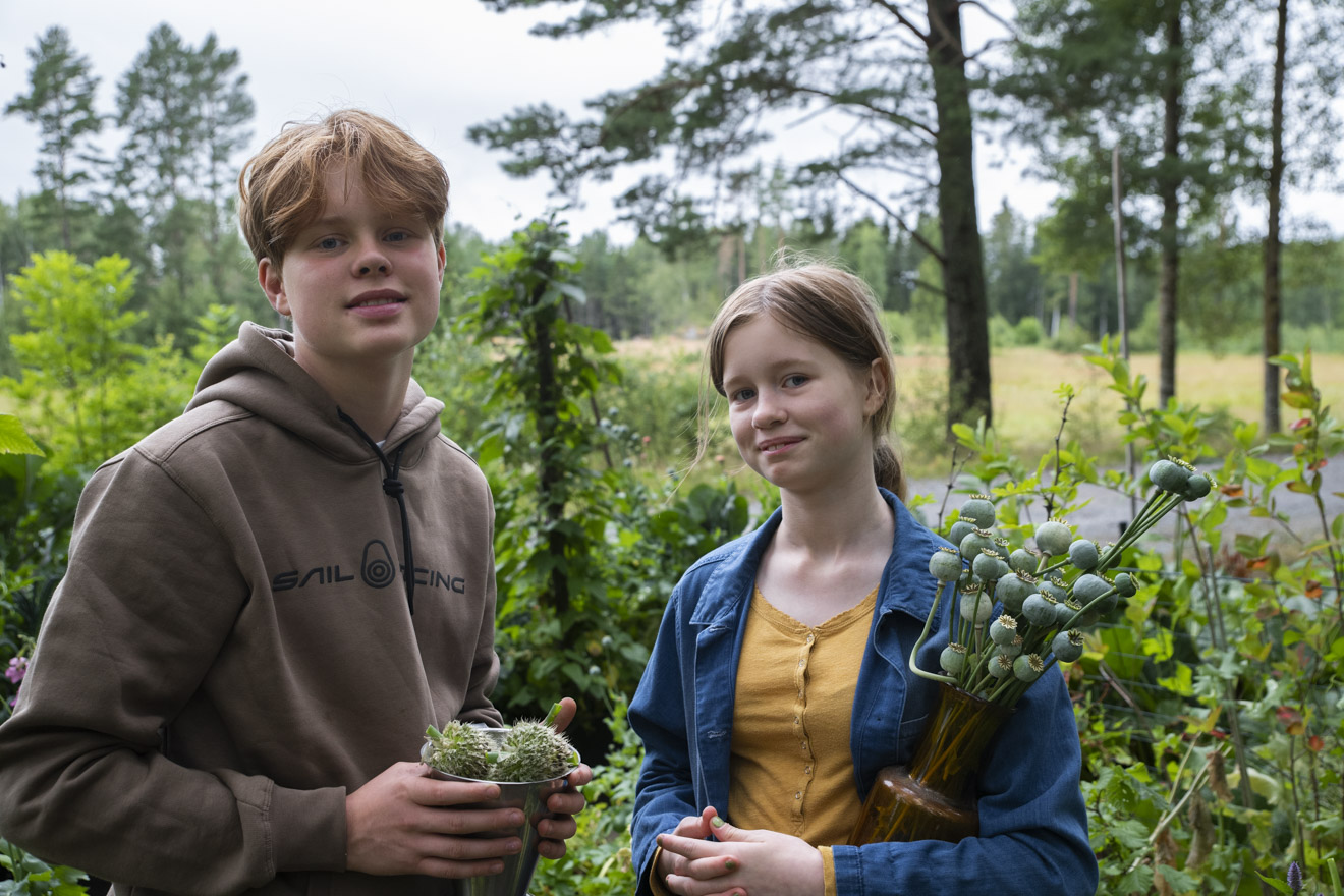 Moses och Tora startar fröbutik – Gröna Frön