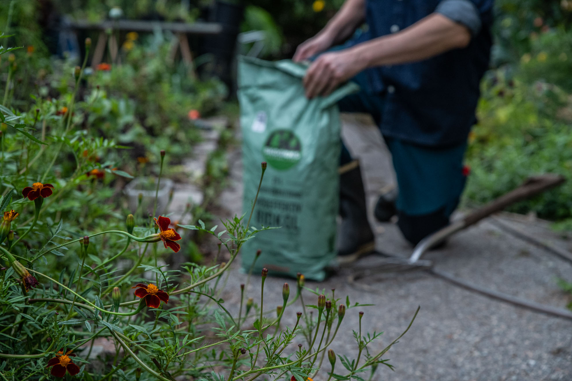 Skapa en god jord med Skogens biokol