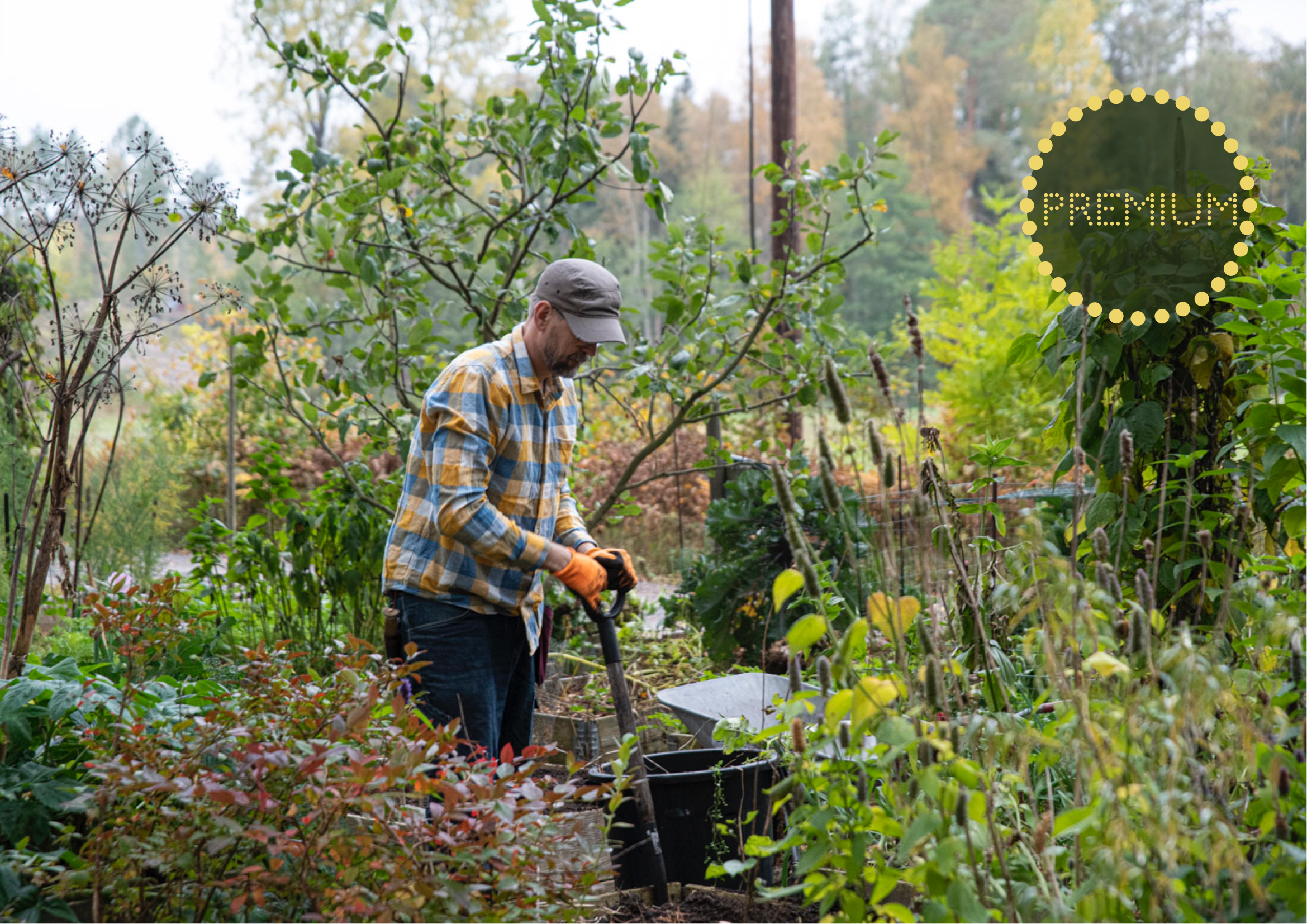 Tips och tankar kring höstsådd