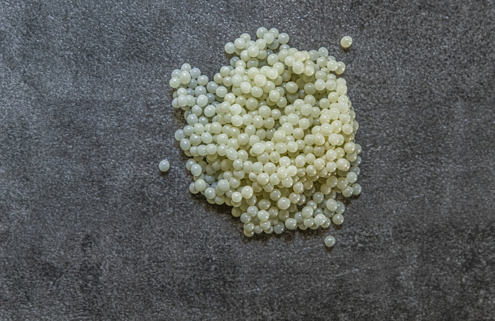 Så gör vi kaviar av mördarsnigelägg