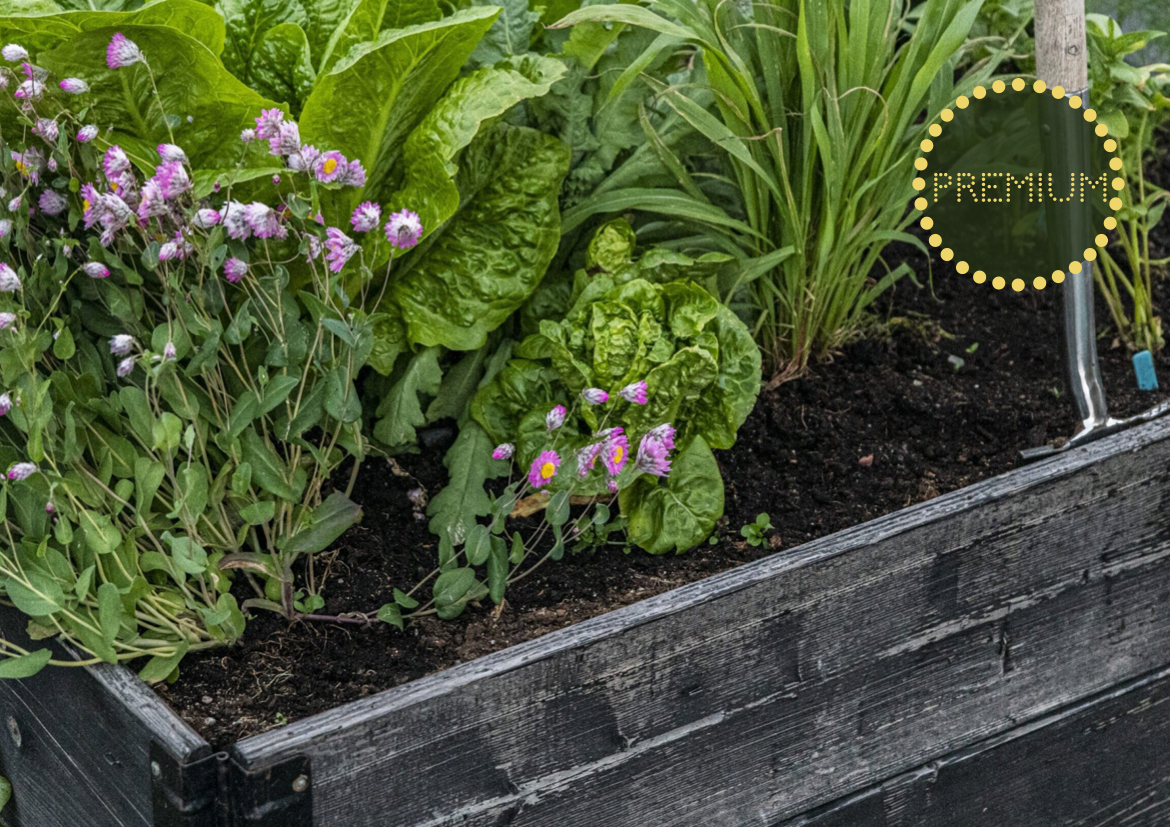 Hur vi tänker kring pallkragar