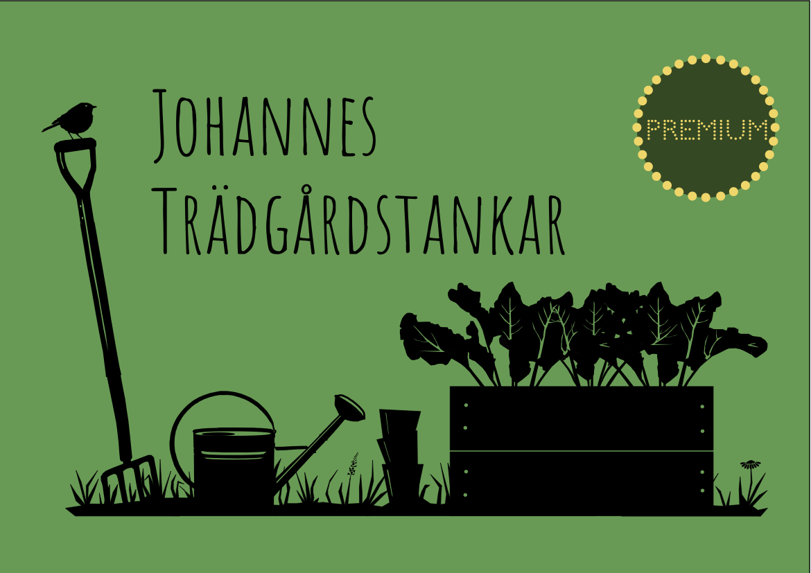 En resa långt iväg och tillbaka