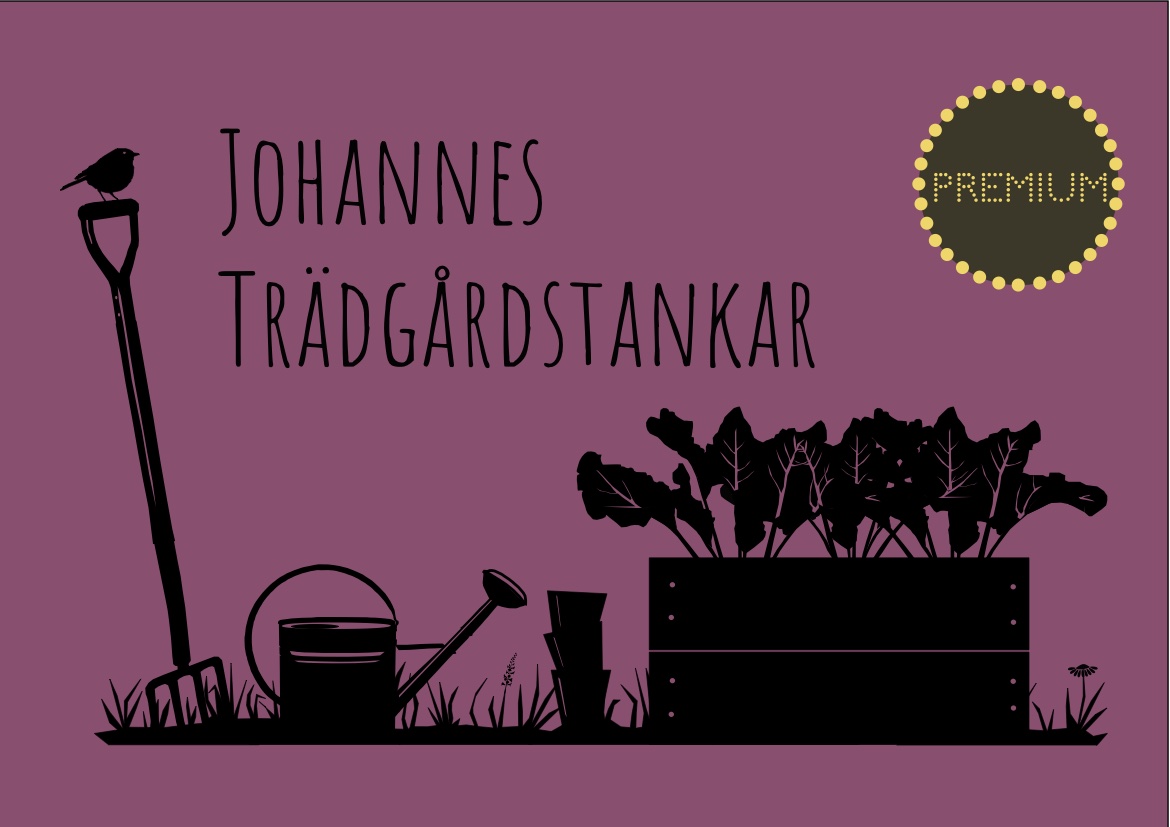 Livet kan bara förstås baklänges, men det måste levas framlänges