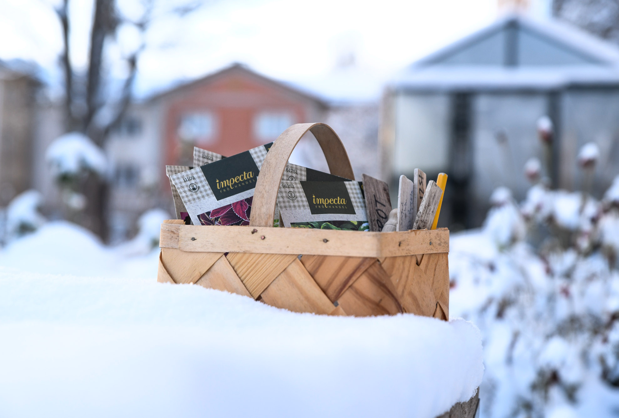 Dessa frönyheter ska vi testa från Impecta Fröhandel