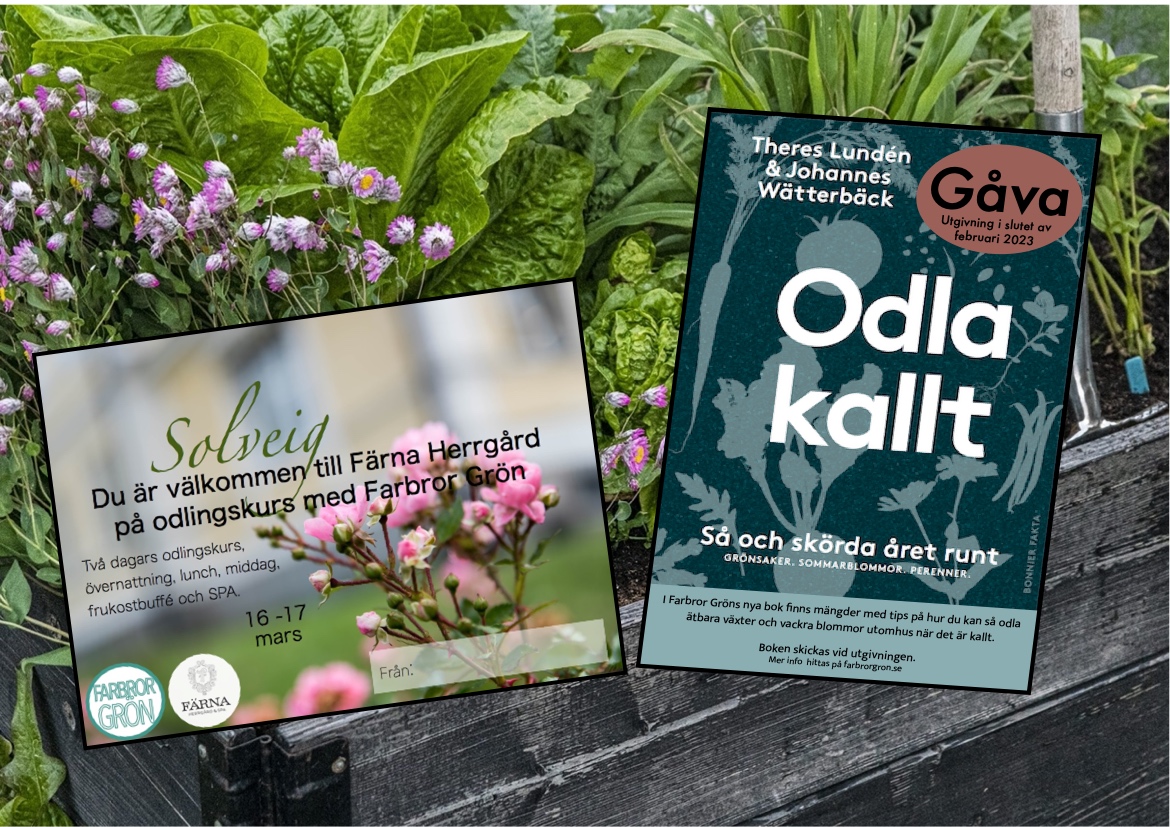 Gåvokort till julklappsutdelningen