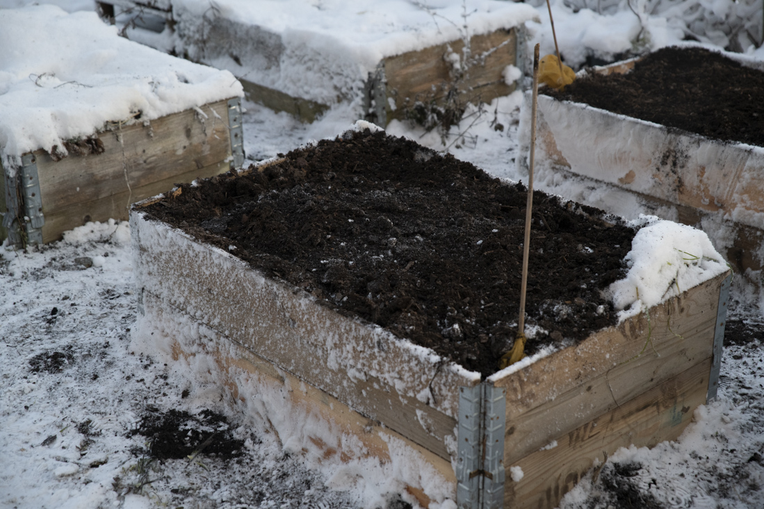 Årets första kurser 2024 – Herrljunga, Stockholm och Sundsvall – Odla kallt