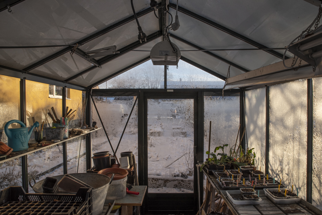 Oj, sådde du för tidigt?