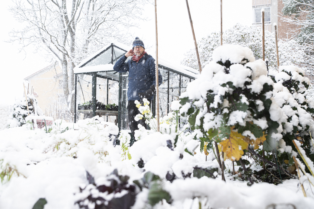Endagskurs,odlingsdag i Stockholm den 17/12