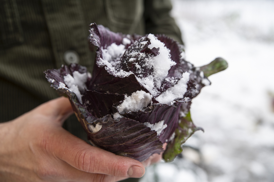 Endagskurs Herrljunga 13/1 2024