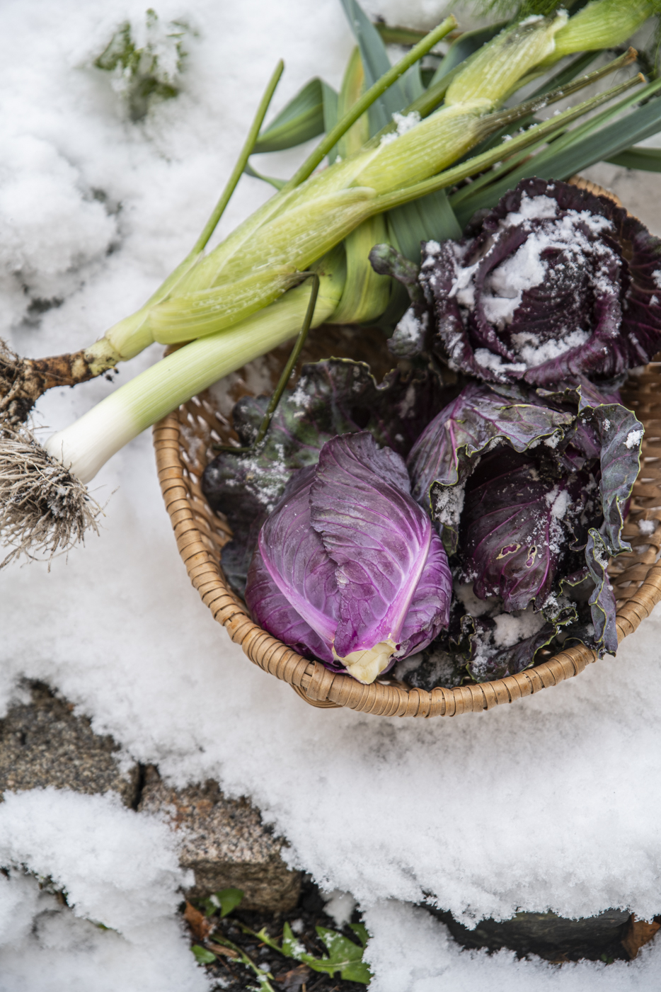 Odlingskurs på Scandic Sundsvall city den 3/2