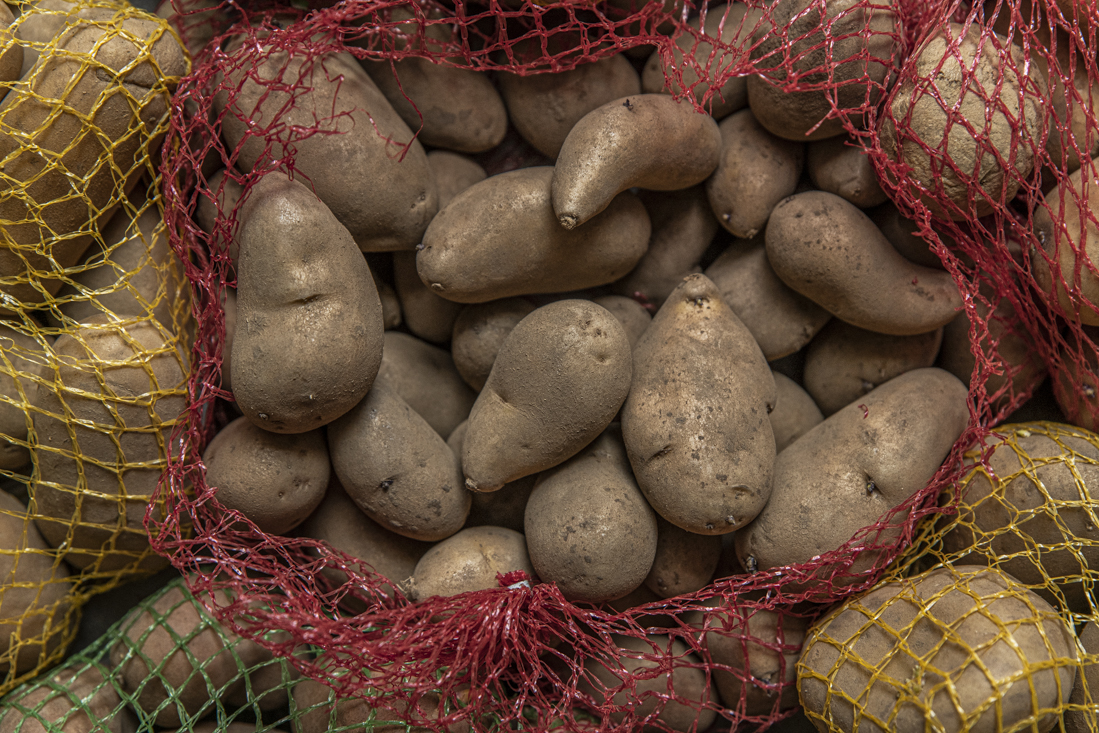 Dags att beställa sättpotatis