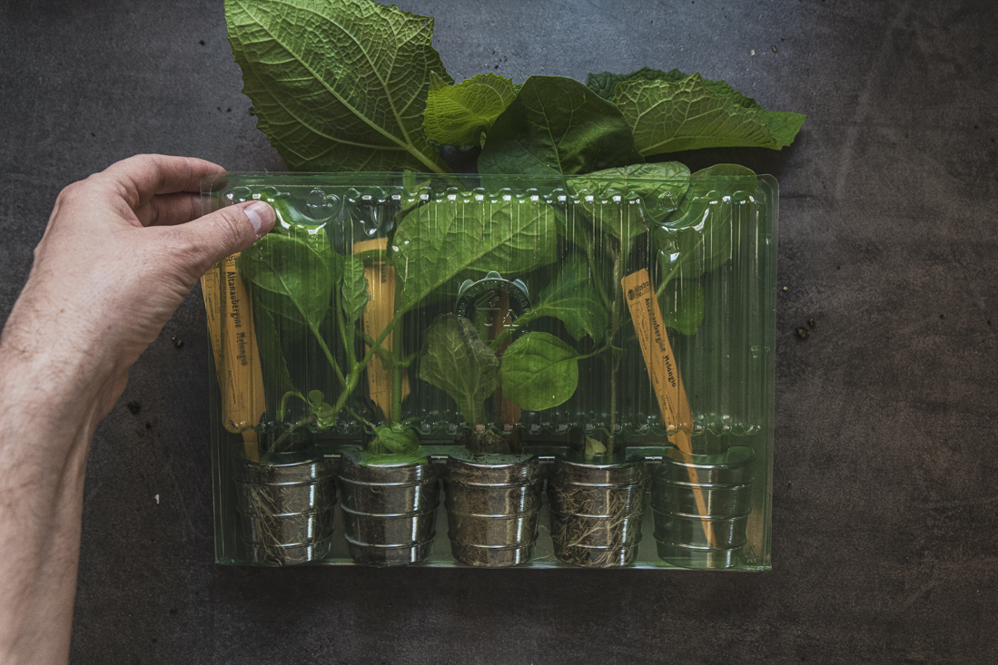 Klostra – levande växter på nätet