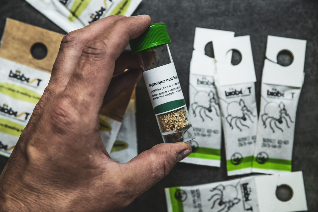 Bekämpa skadedjur med nyttodjur