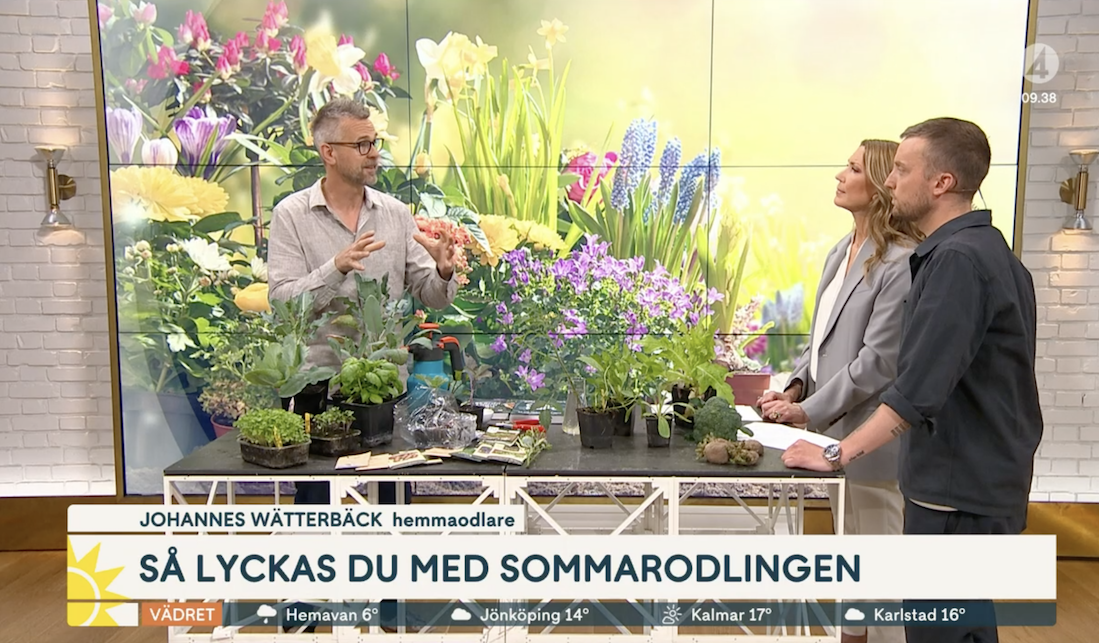 Sommartips från Farbror Grön