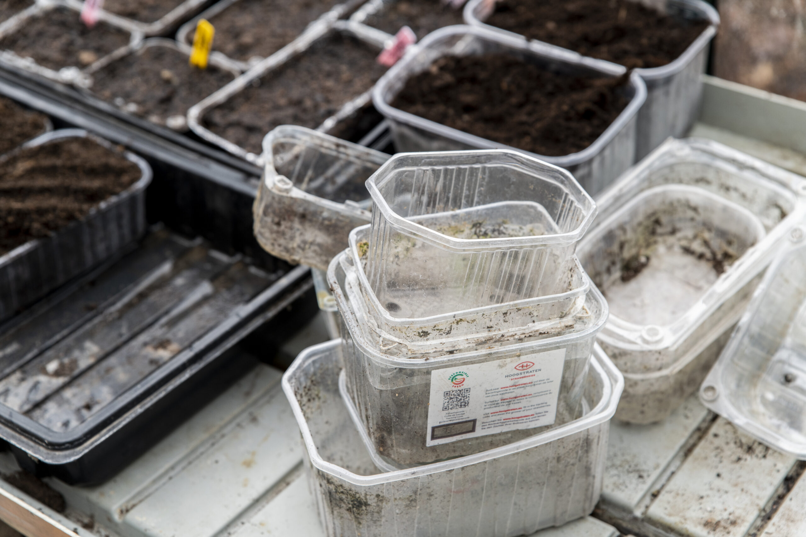 Världens bästa odlingsbehållare