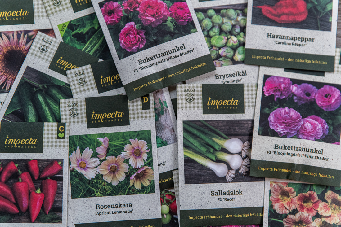 Frönyheter från Impecta Fröhandel – de här tyckte vi var spännande