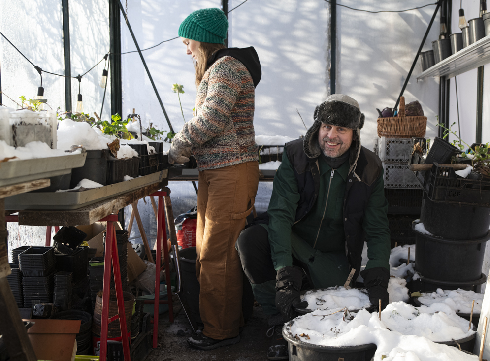 Förberedelser för vintersådd – varför, hur och vad du behöver