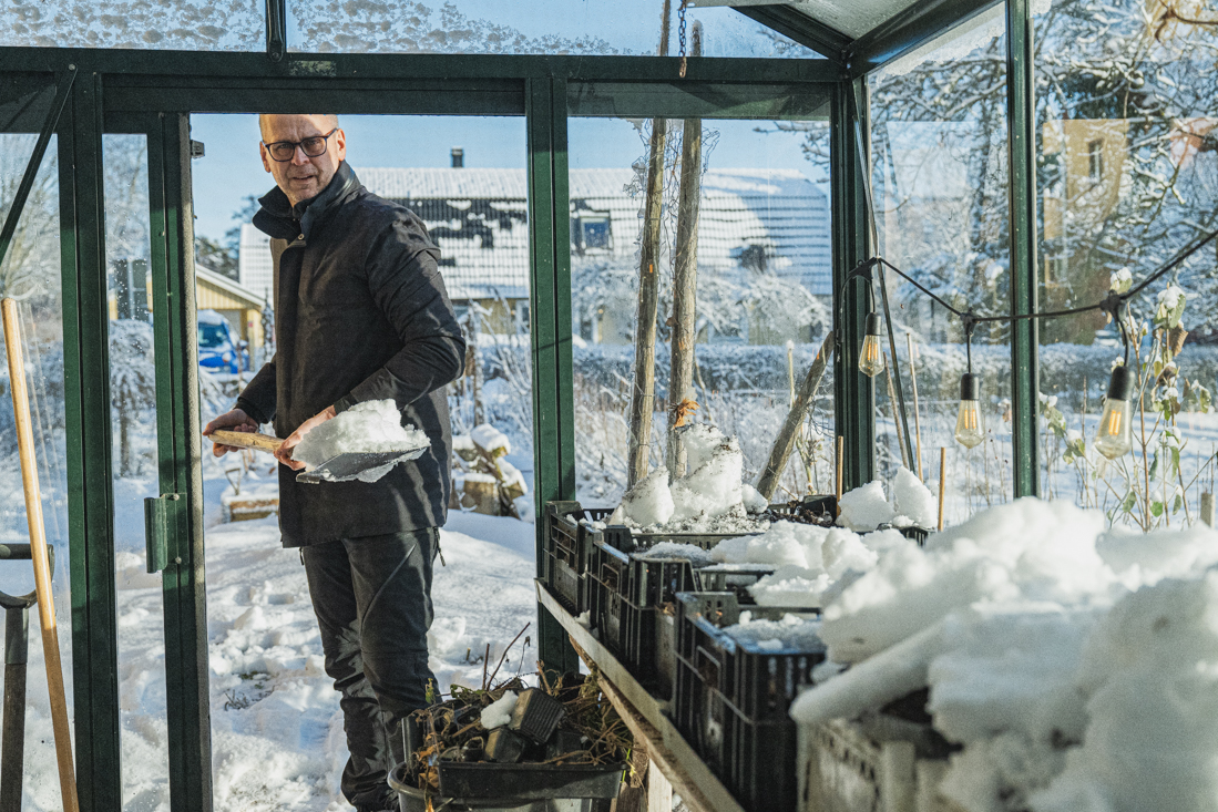 Februarisådderna – vi sår grönsakerna kallt