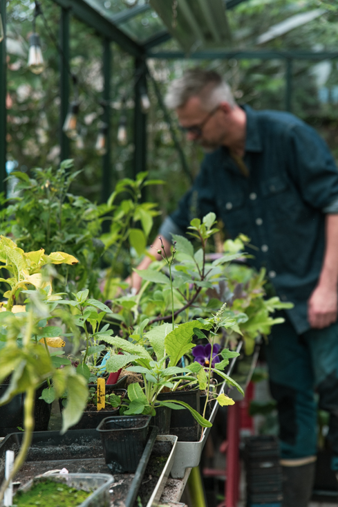 Våra sommarsådder – hela grönsakslistan i bokstavsordning