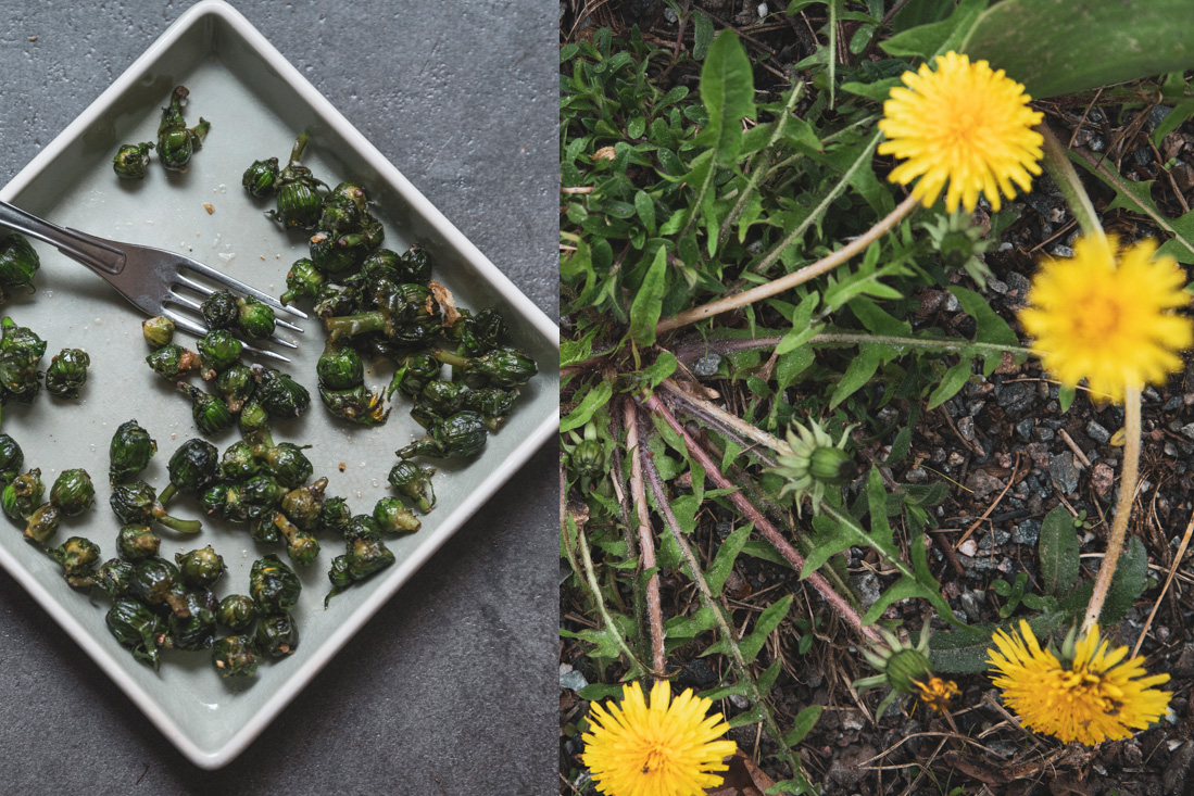 Använda ogräs – frästa maskrosknoppar med parmesan