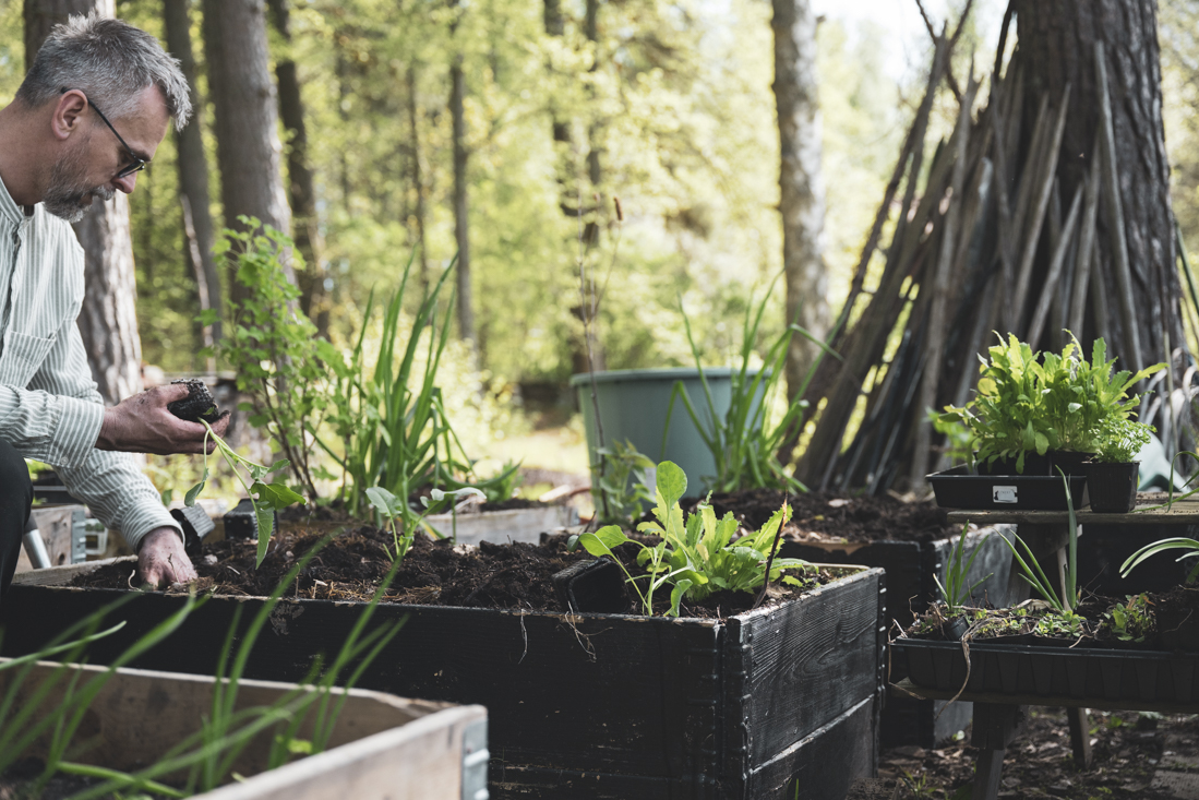 7 saker att tänka på vid utplantering