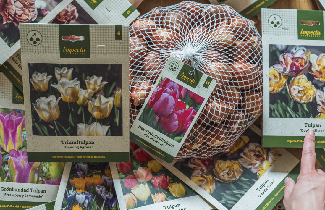 Vårblommande lökar – dags att beställa